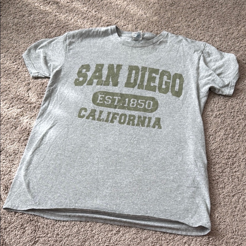 Gildan Gray San Diego California T-Shirt